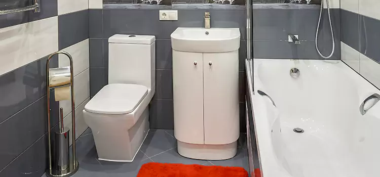 Hansgrohe Shaving Mirror Northport